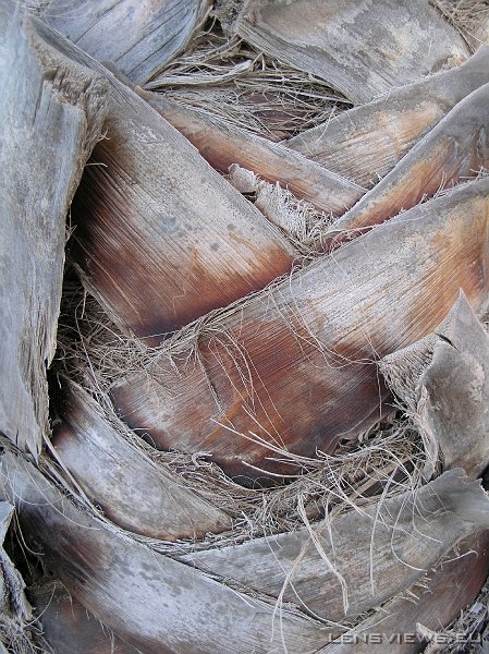 2006_11_21 14_50_32 OLYMPUS DIGITAL CAMERA         